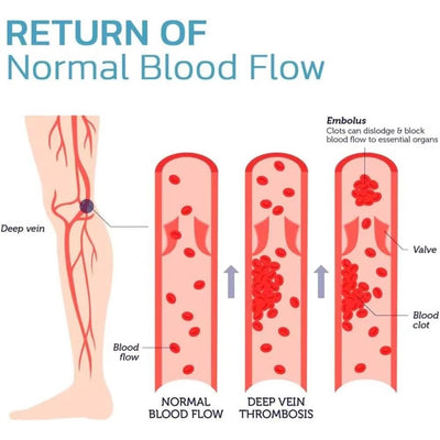 2 pc Knee Warmer Brace